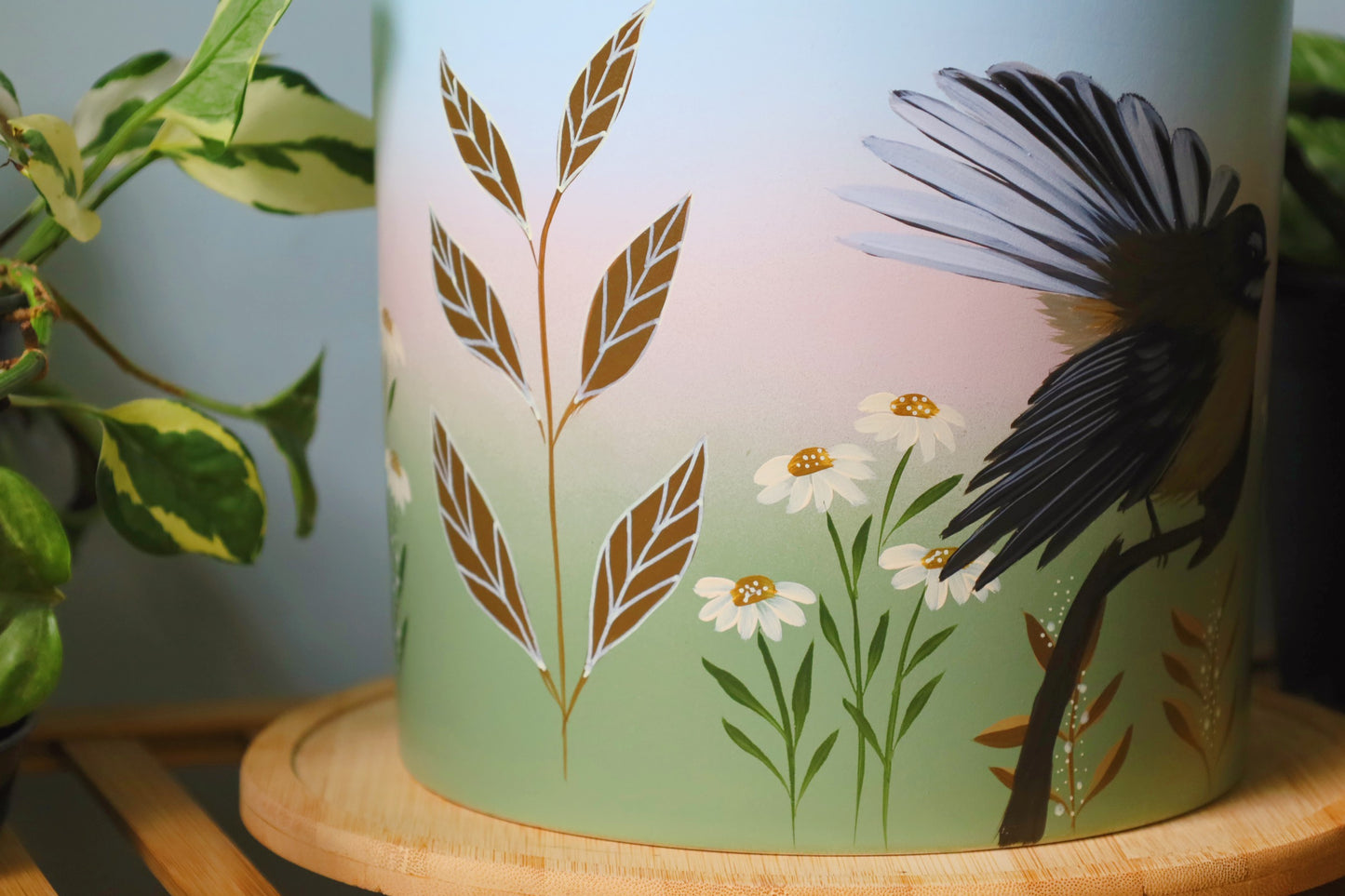 Graceful Fantail 20cm