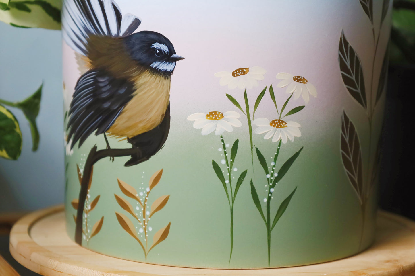 Graceful Fantail 20cm