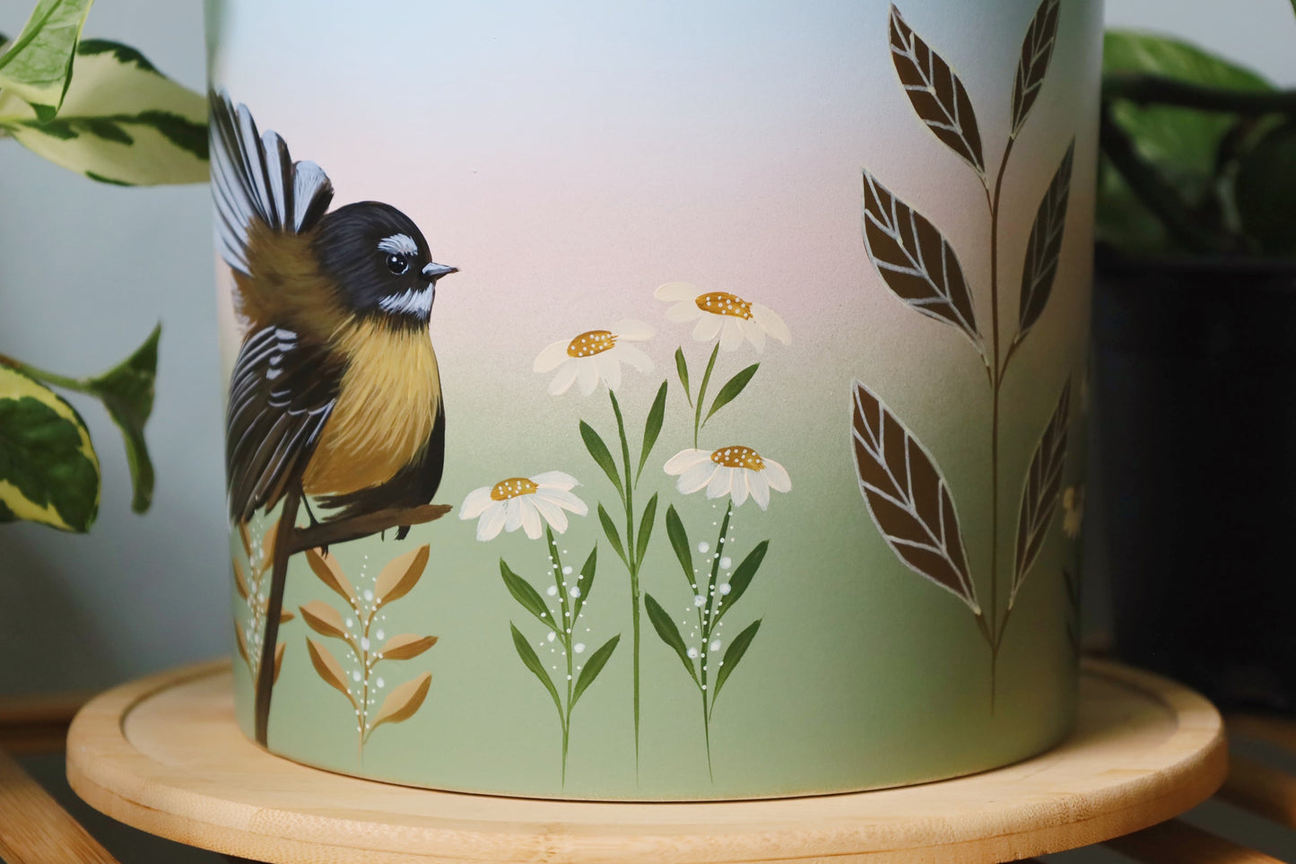 Graceful Fantail 20cm