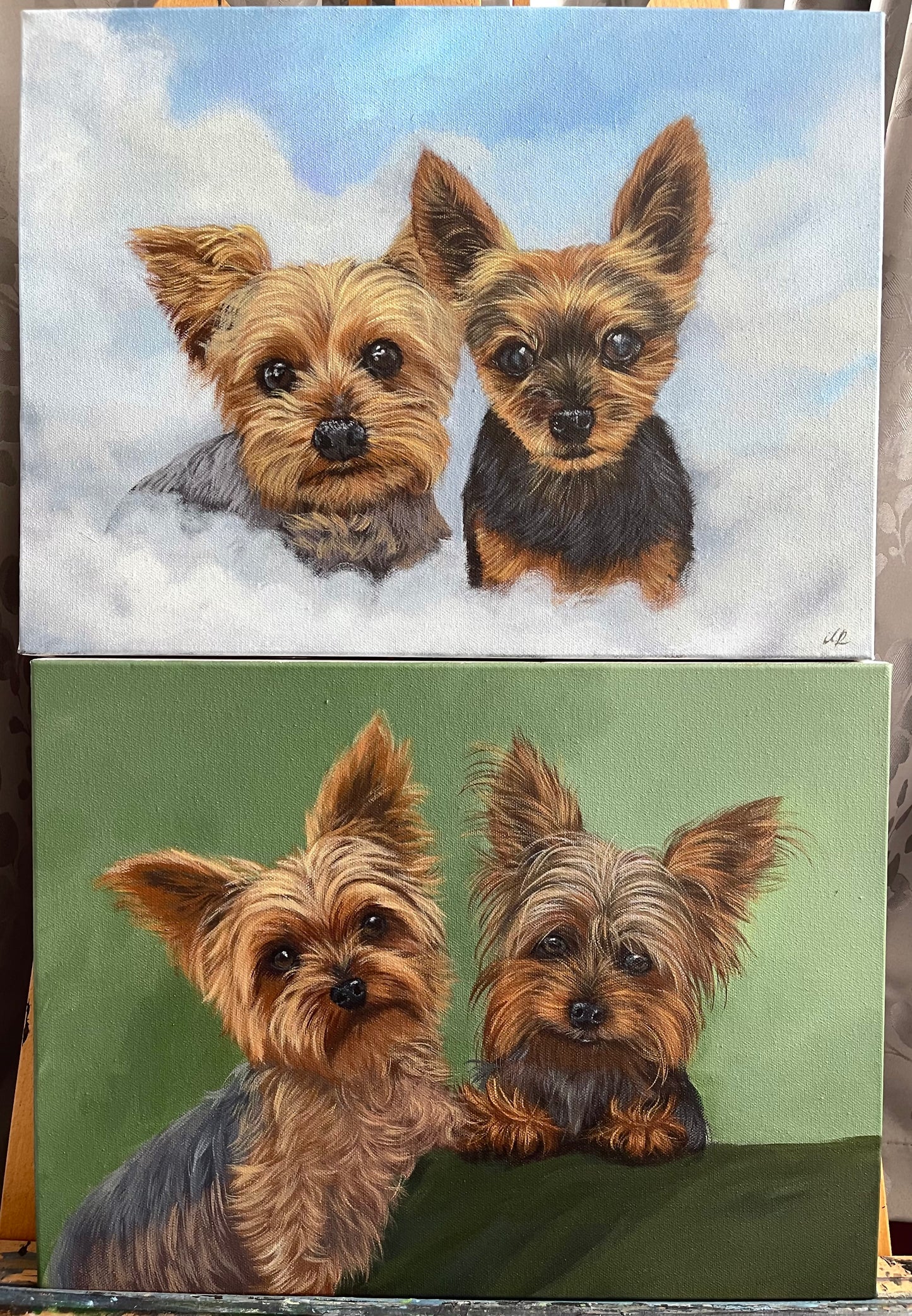 Pet Portraits