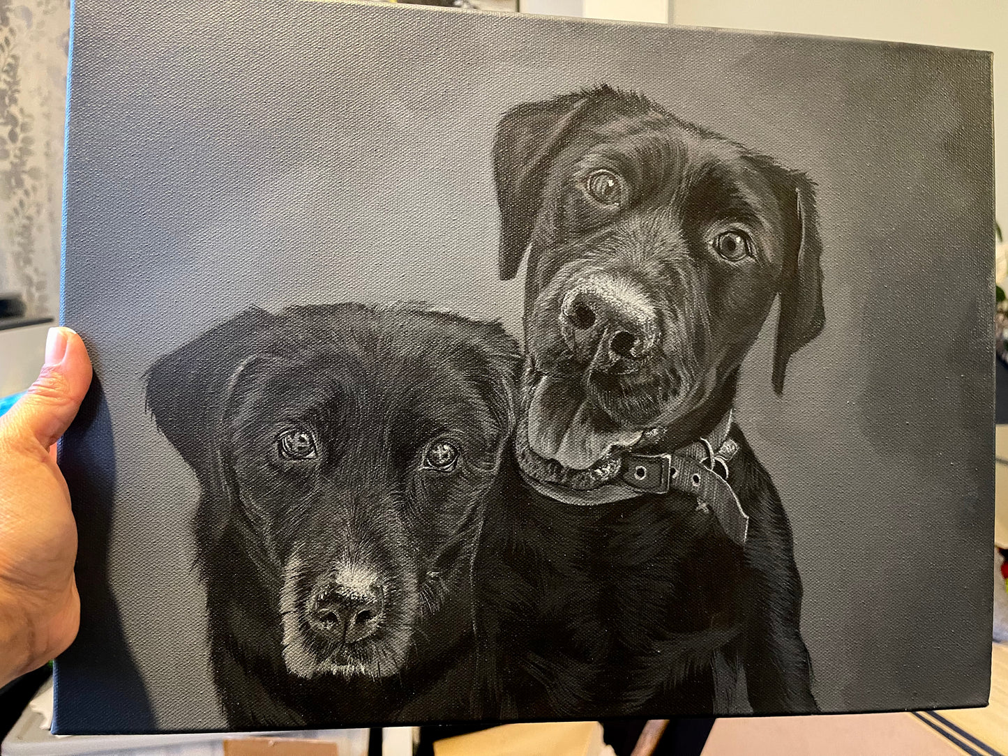 Pet Portraits
