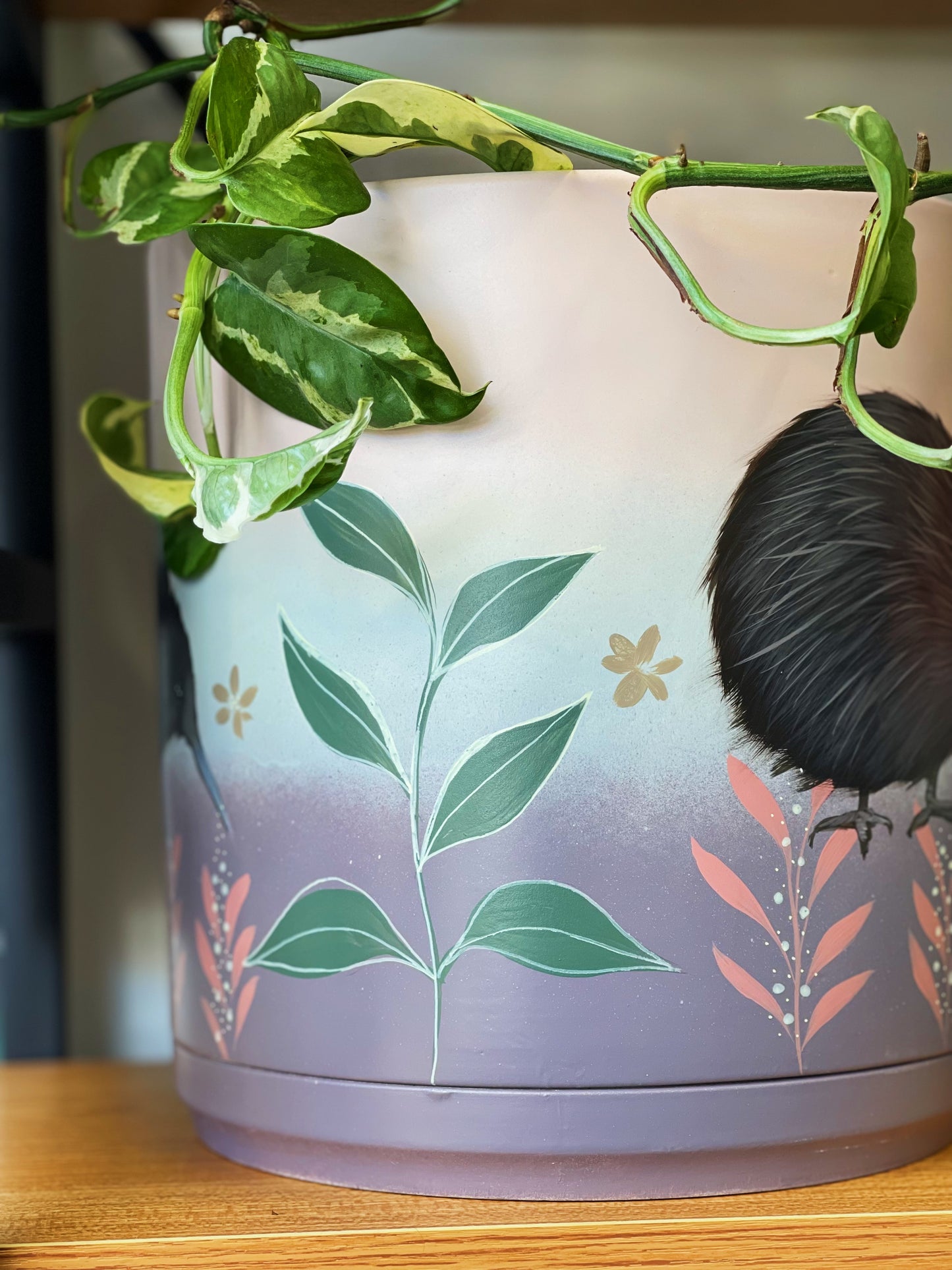 Pinky the Kiwi 23cm Hand Painted Pot