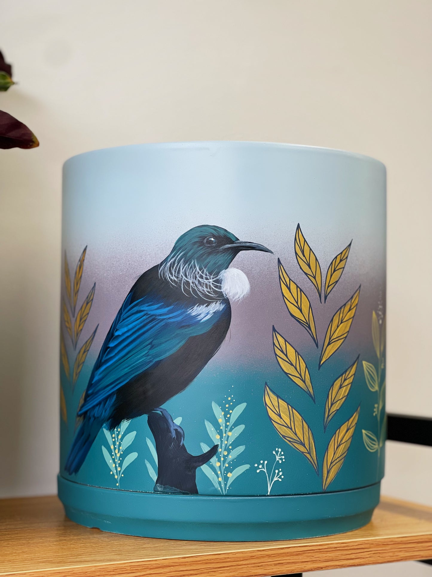 Tui in Eden 23cm pot