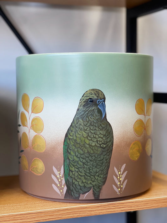 The Resting Kea 23cm Hand Painted Pot