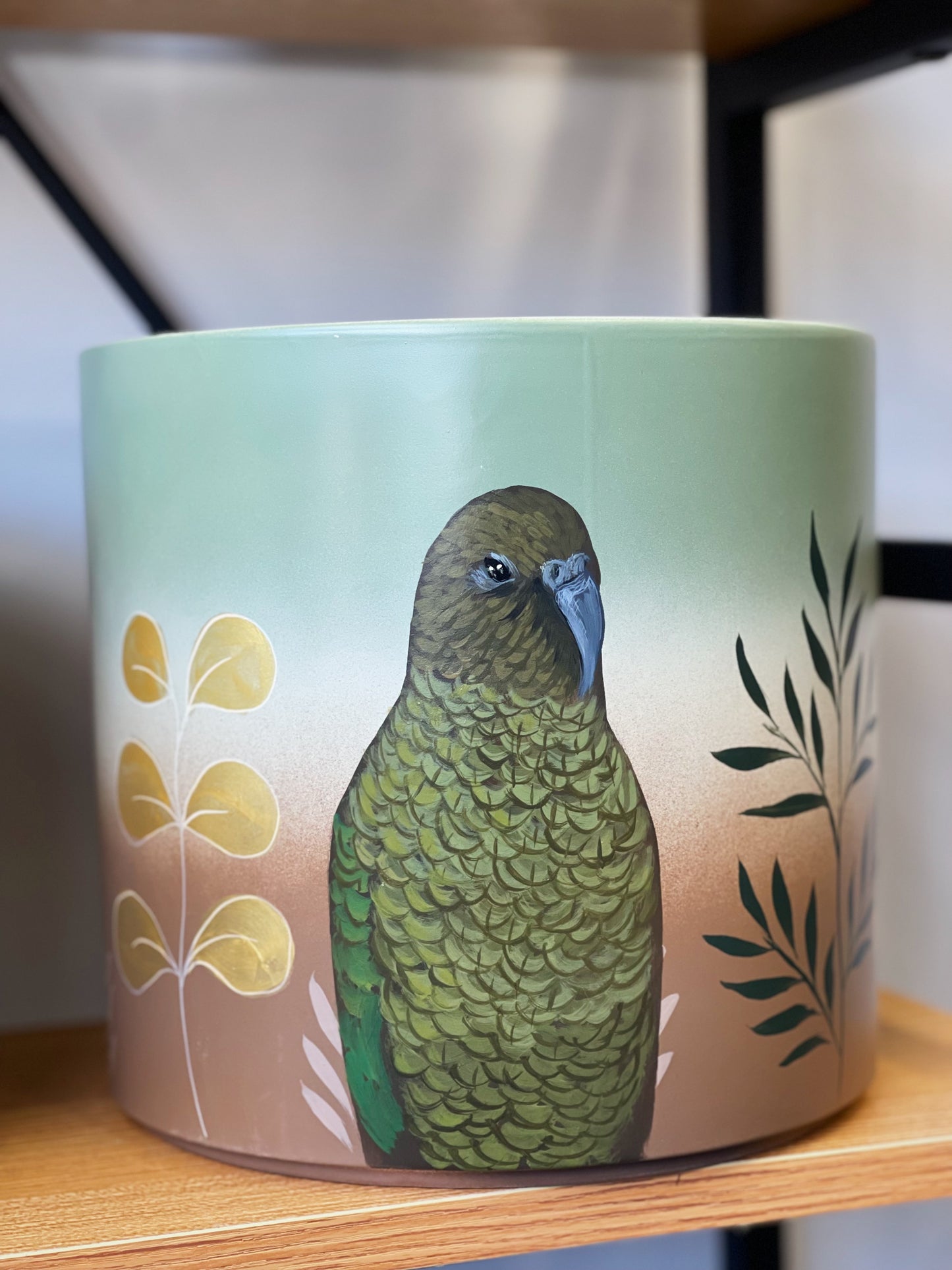 The Resting Kea 23cm Hand Painted Pot