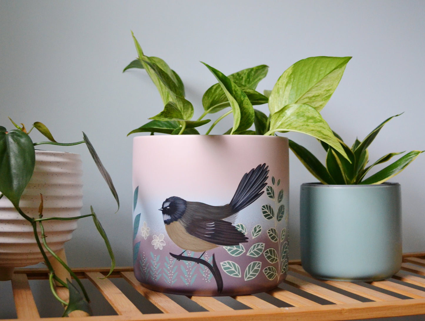 Soft Sunset Fantail 18cm Painted pot