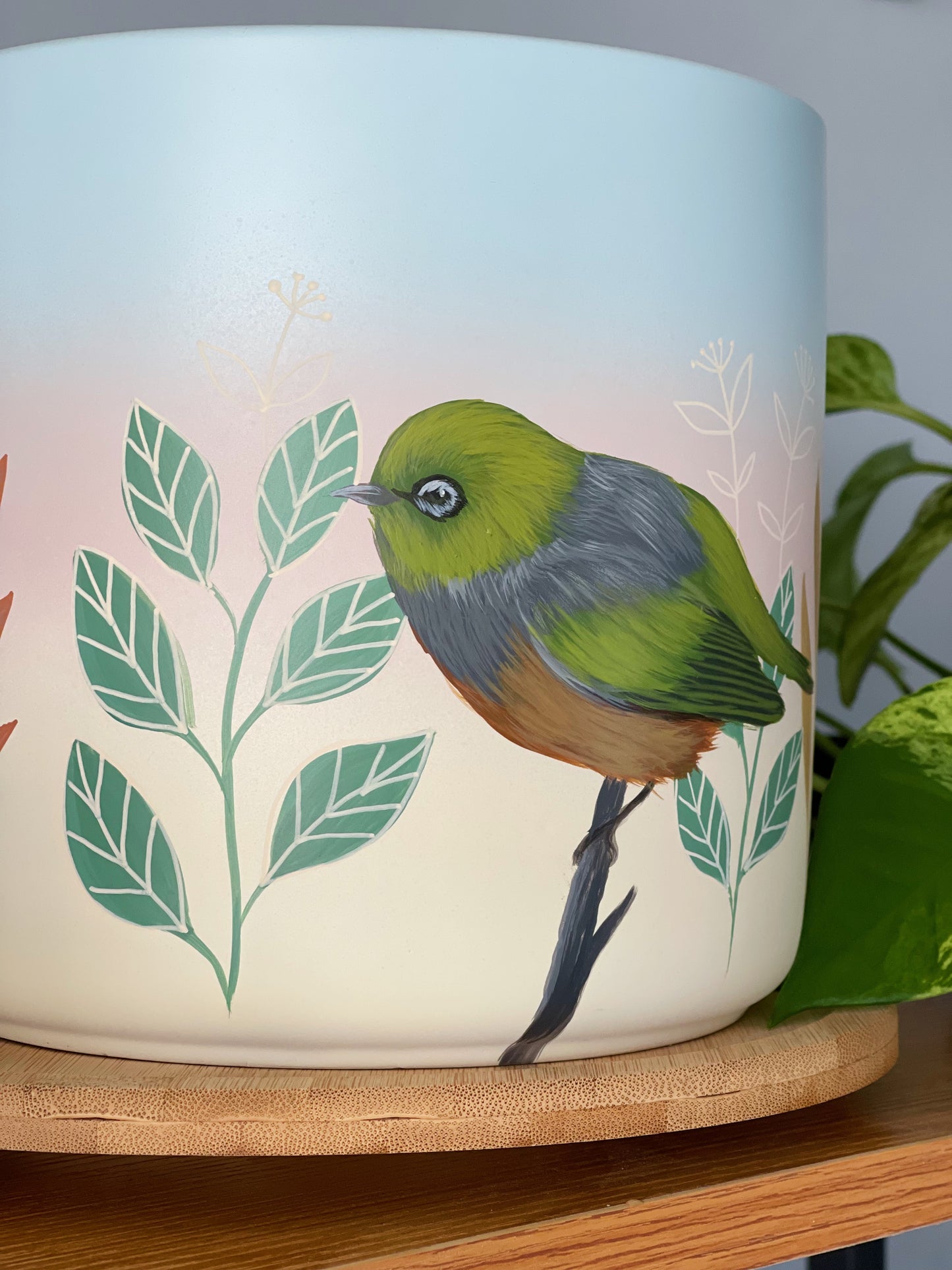 Pastel Waxeye 18cm Painted pot