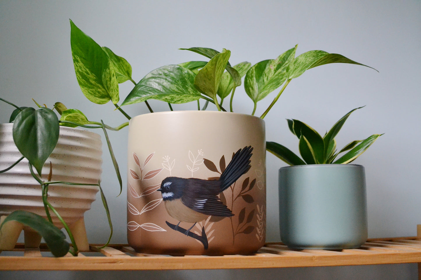 Neutral Fantail 18cm Painted pot