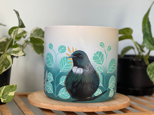 Coastal Tui (Made to Order)