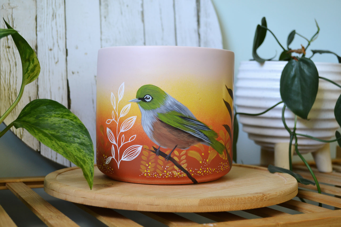 Waxeye Sunrise (Made to Order)