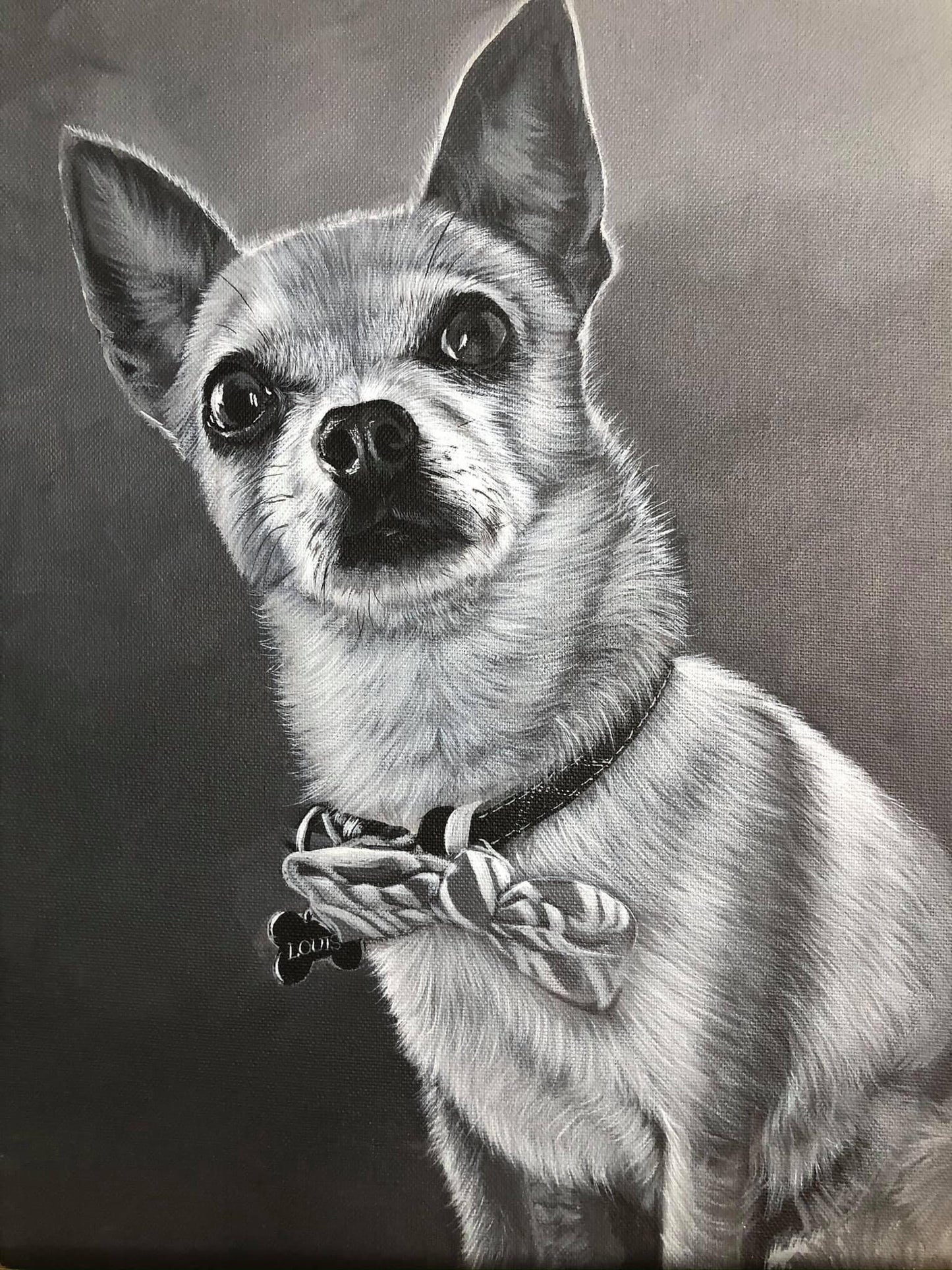 Pet Portrait Special