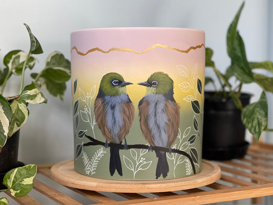 Waxeye Lovebirds (Made to order)