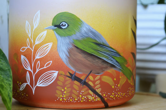 Waxeye Sunrise (Made to Order)