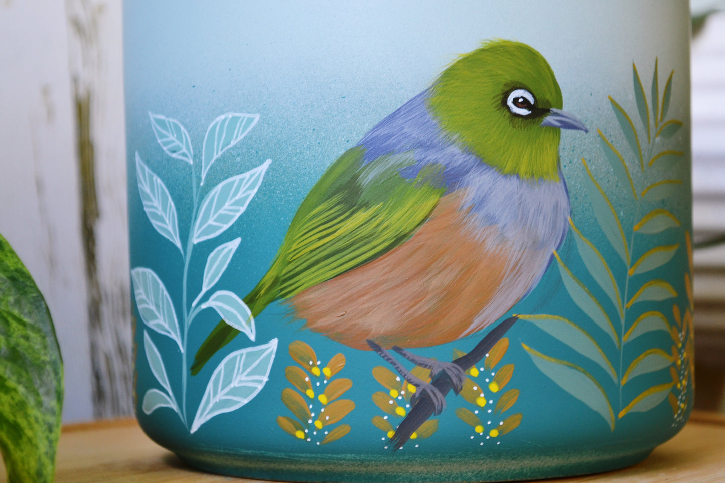 Coastal Waxeye (Made to Order)