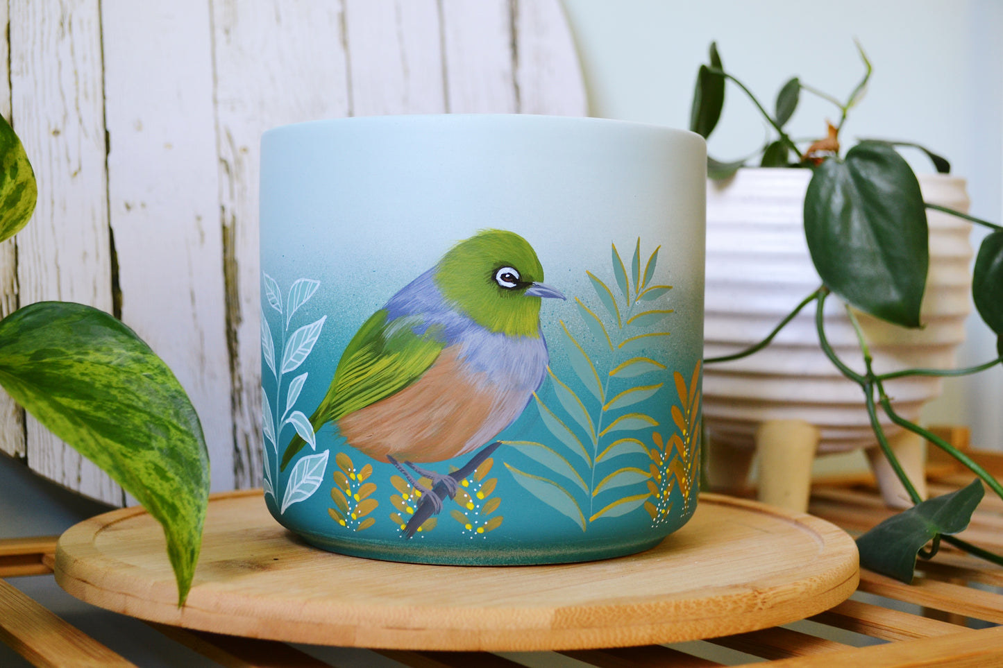 Coastal Waxeye (Made to Order)