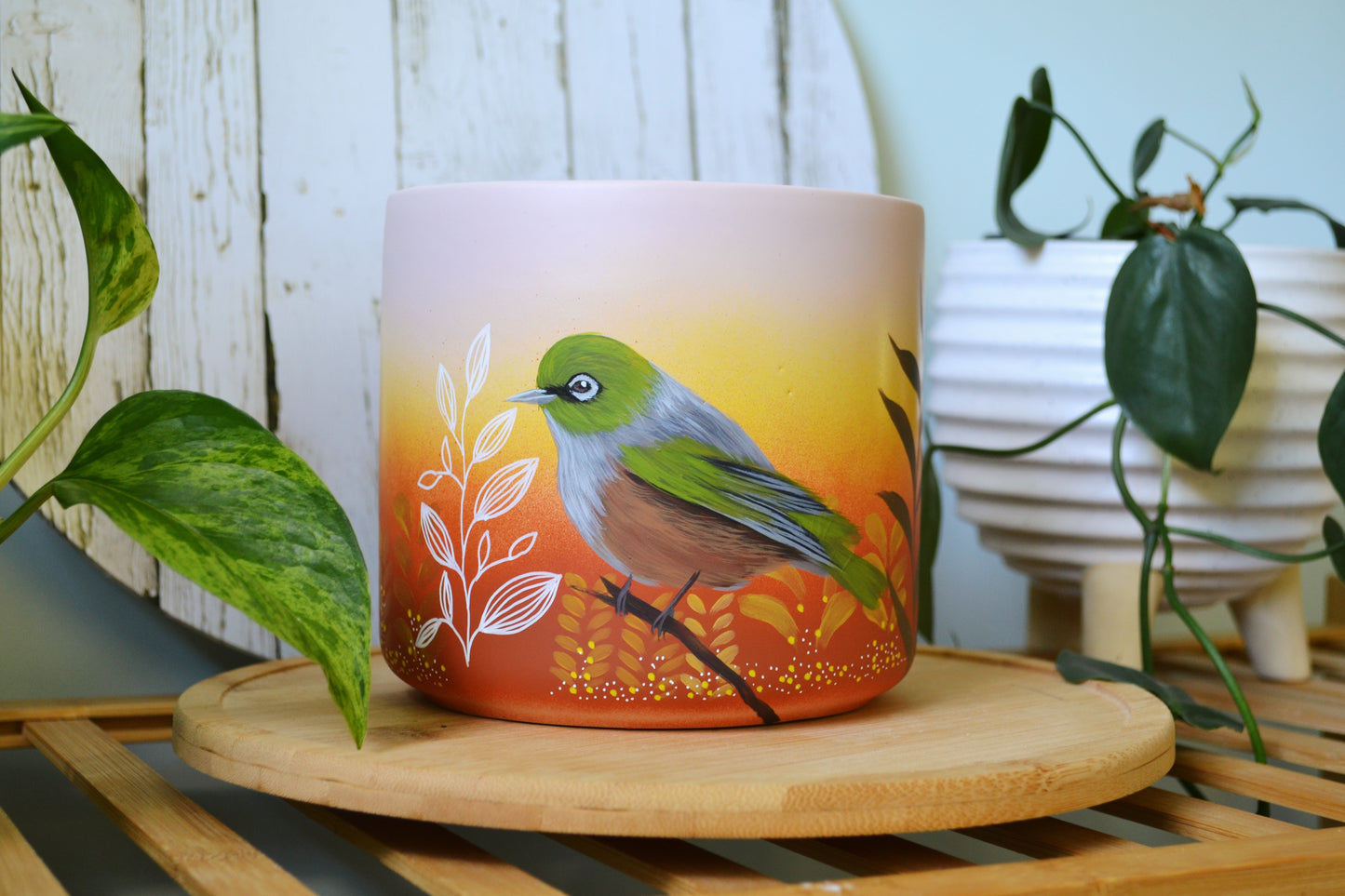 Waxeye Sunrise (Made to Order)