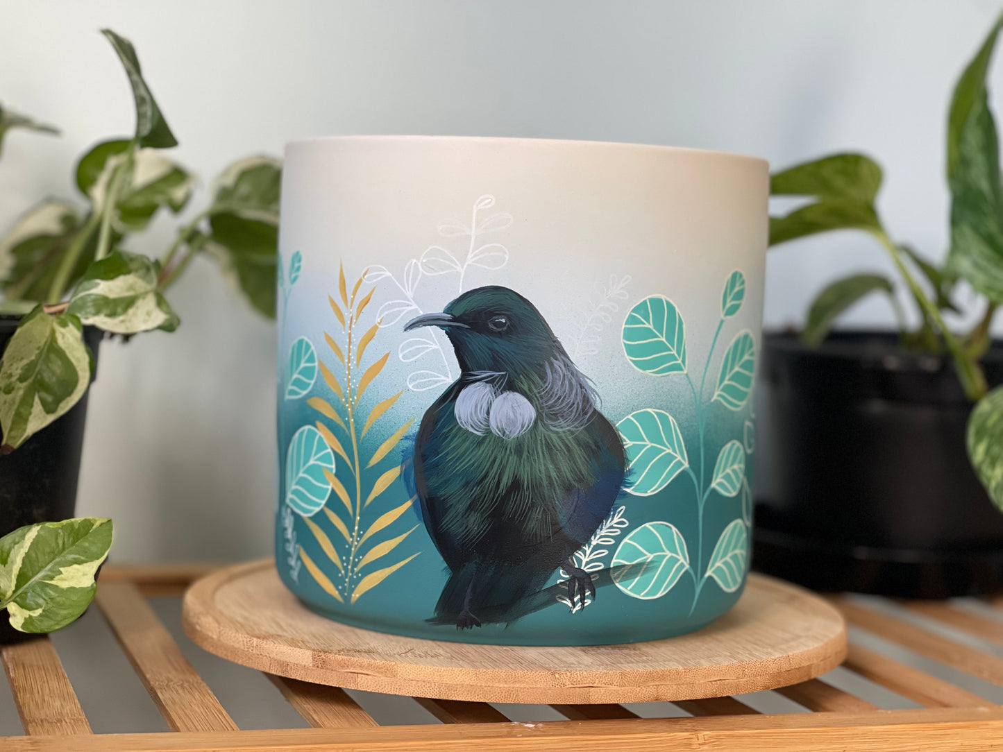 Coastal Tui (Made to Order)