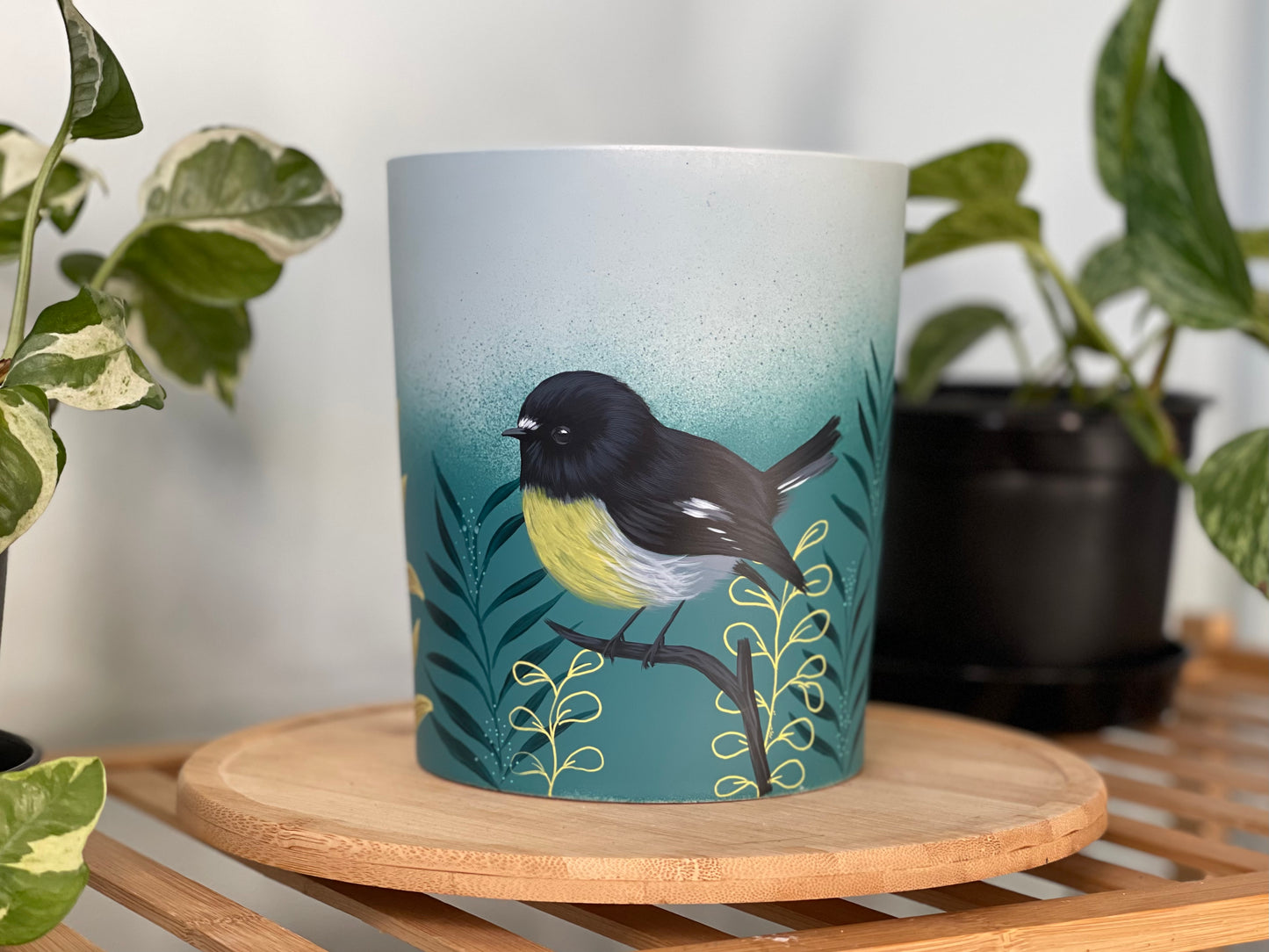 Coastal Tomtit (Made to Order)