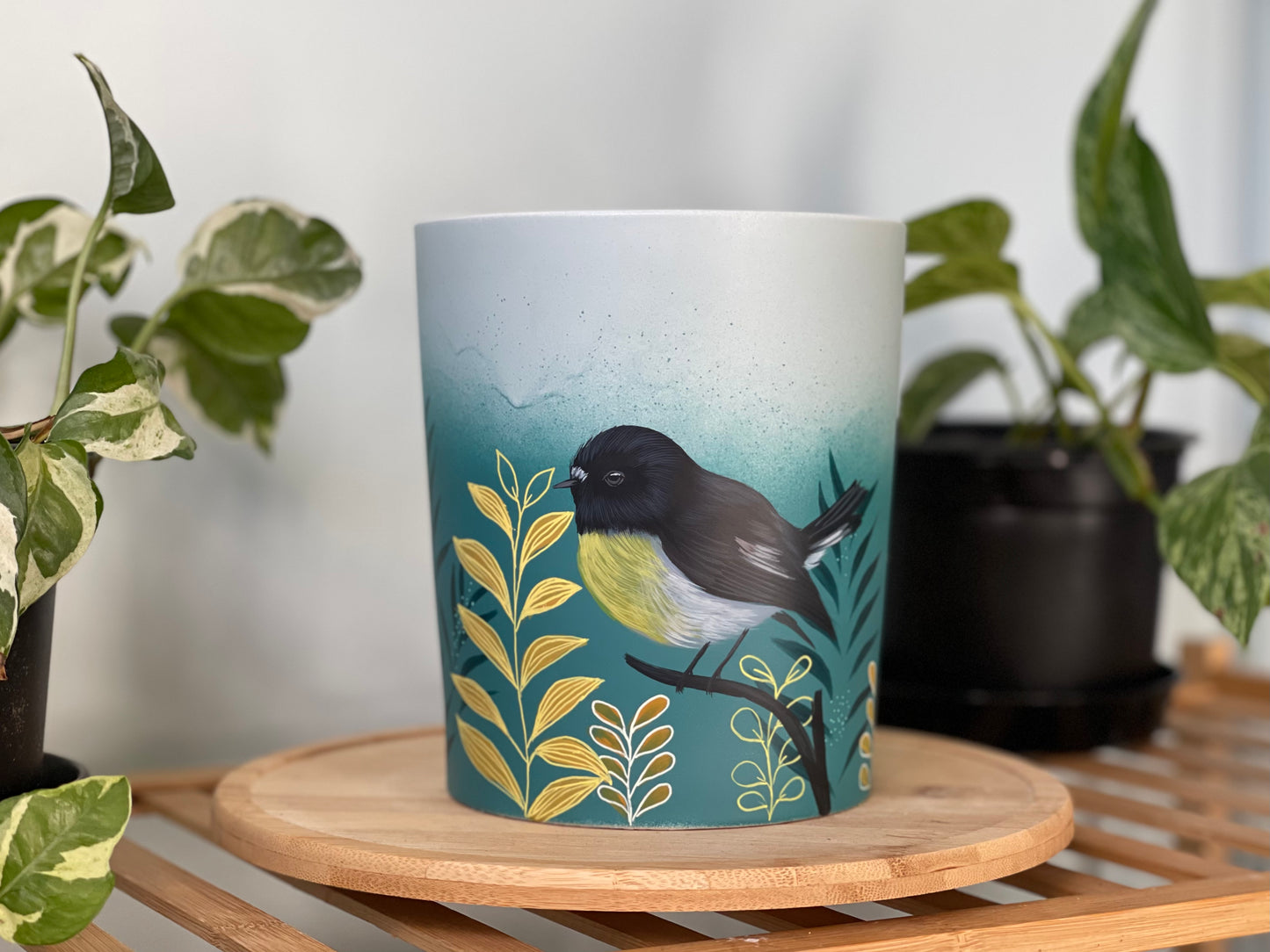 Coastal Tomtit (Made to Order)